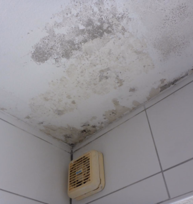 Trocknung Illustration